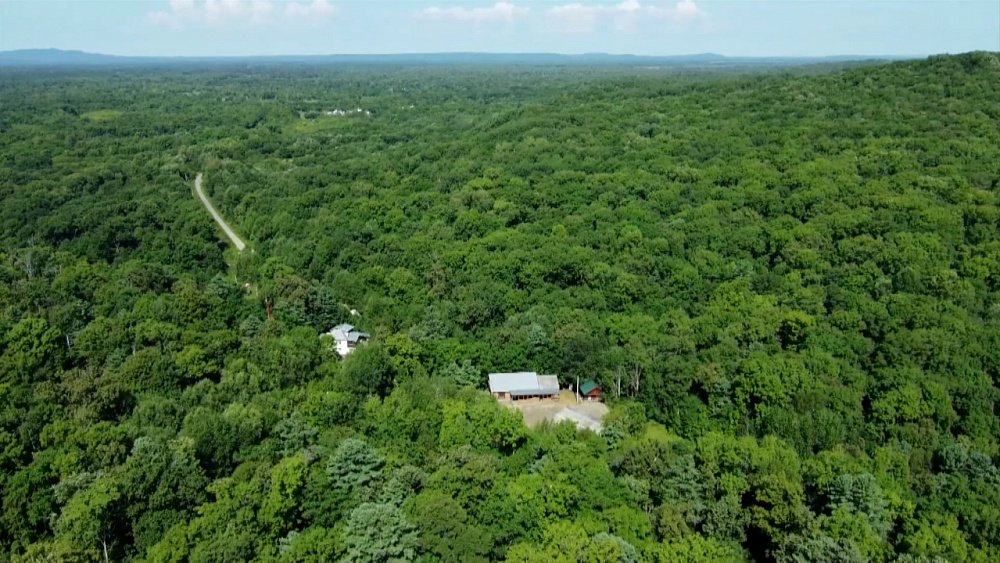 Тигр Гектор переезжает в Хабаровск