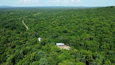 Тигр Гектор переезжает в Хабаровск