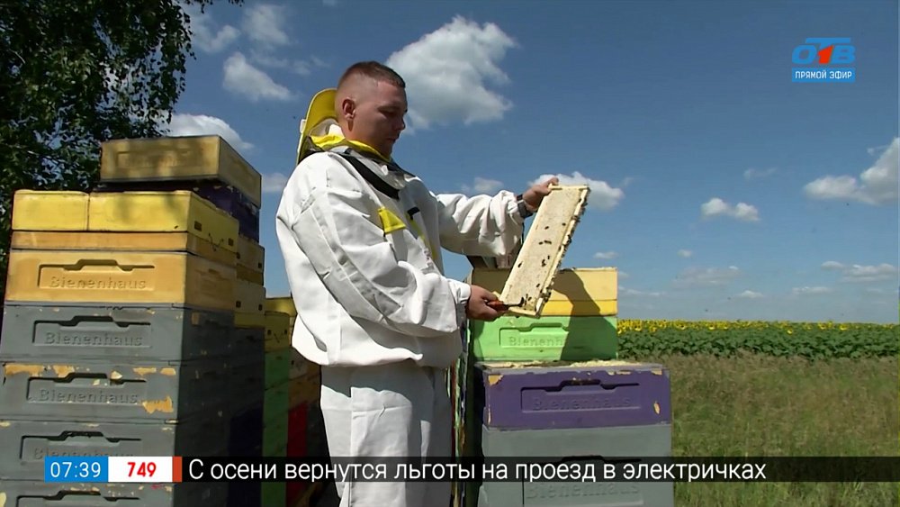 Мёд с пасеки в сюжете «Передвижная пасека»