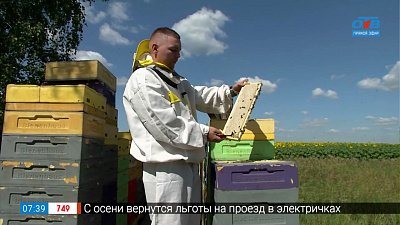 Мёд с пасеки в сюжете «Передвижная пасека»