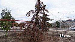 Сквер у ДС «Юность» в Челябинске планируют открыть ко Дню города