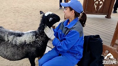 В Челябинском зоопарке рассказали, как говорить с животными