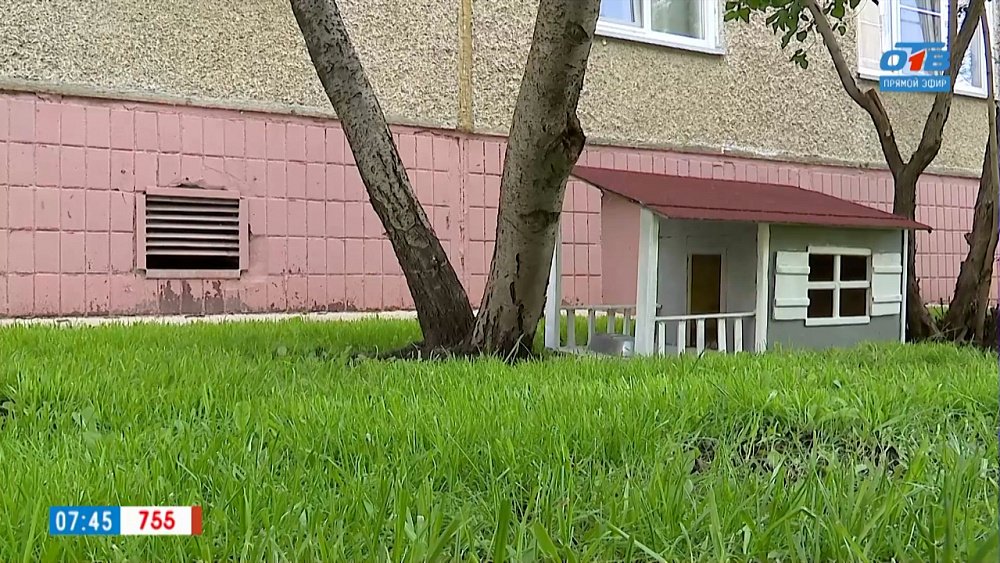 Безопасное место для пушистых четвероногих в сюжете «Кошкин дом»