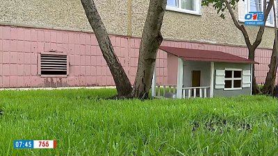 Безопасное место для пушистых четвероногих в сюжете «Кошкин дом»