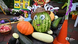 XIX городская выставка цветов и плодов проходит в Челябинске