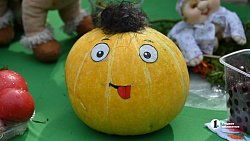 XIX городская выставка цветов и плодов проходит в Челябинске