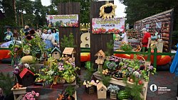 XIX городская выставка цветов и плодов проходит в Челябинске