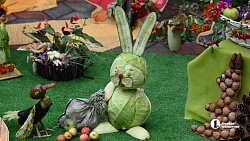 XIX городская выставка цветов и плодов проходит в Челябинске