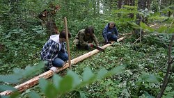 В парке «Зюраткуль» строят тропу для ходьбы босиком