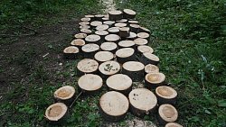 В парке «Зюраткуль» строят тропу для ходьбы босиком