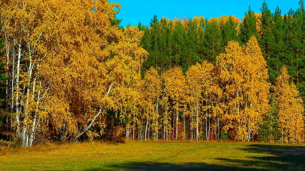 В Челябинской области ажиотажный спрос на туры с осенним кешбэком