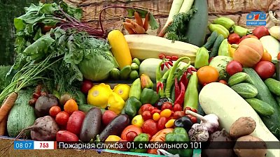 Выставка плодов и цветов в сюжете «Чем гордятся уральские садоводы?»