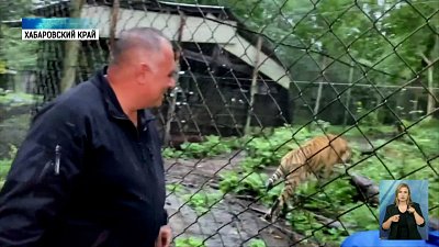 Гектор осваивается в реабилитационном центре