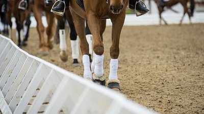 Работников клуба «Рифей» подозревают в хищении миллиона рублей