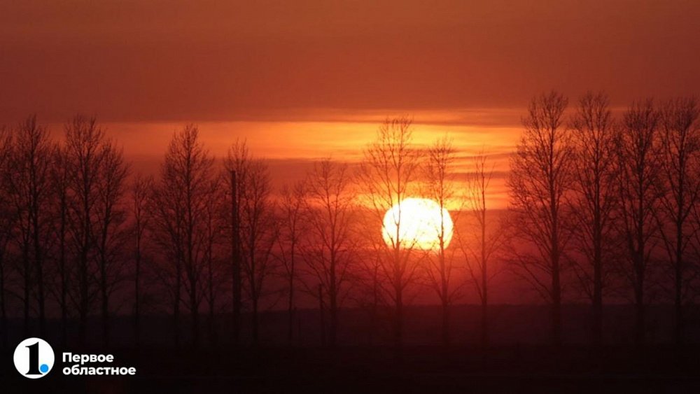 Эксперты Народного фронта считают, что зеленый пояс Челябинска должен вырасти минимум вдвое 