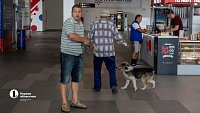 Нашлись хозяева собаки, которую якобы бросили в челябинском аэропорту