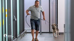 Нашлись хозяева собаки, которую якобы бросили в челябинском аэропорту