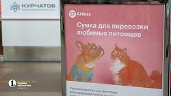 Нашлись хозяева собаки, которую якобы бросили в челябинском аэропорту