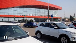 Нашлись хозяева собаки, которую якобы бросили в челябинском аэропорту