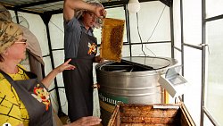 Пчелы челябинца Сергея Тарасова собирают мед от Черного моря до Урала