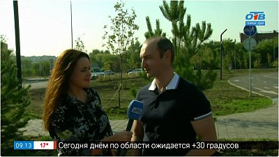 Что с деревьями в парке Дружбы? — Прямое включение