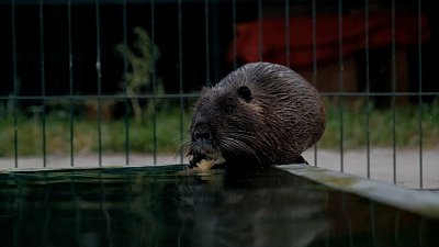 Время новостей. Итоги от 27.08.2022