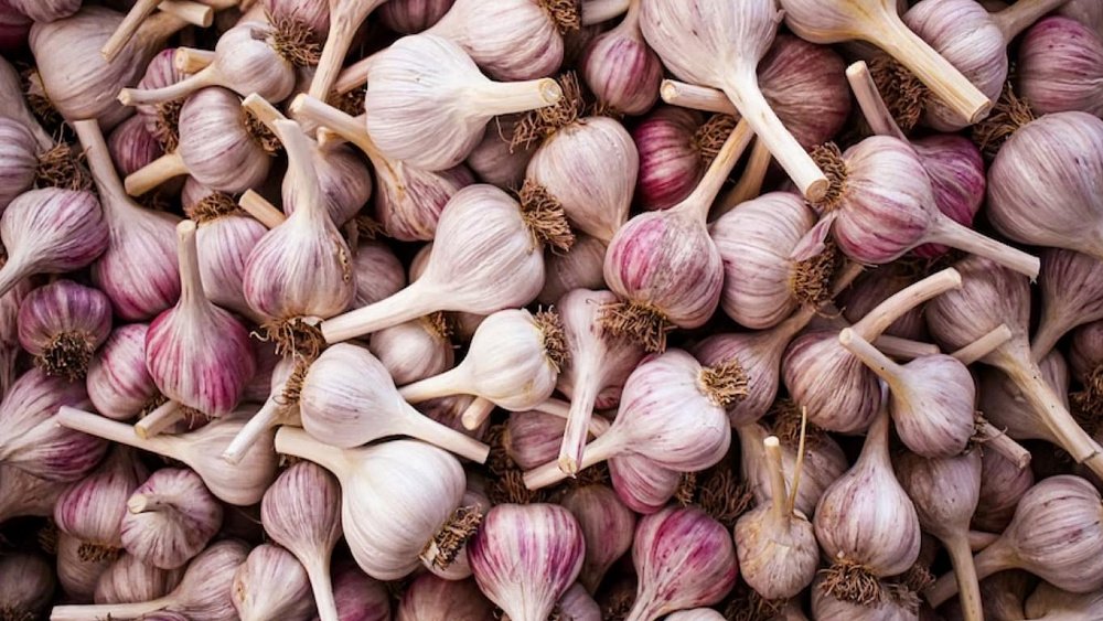 Чеснок умеет снижать «плохой» холестерин