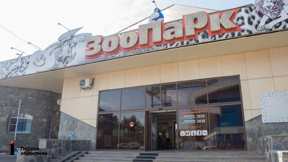 В челябинском зоопарке умерла гималайская медведица