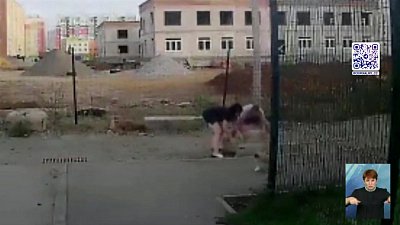 Ребенок провалился в колодец