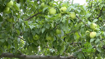 Зеленая передача 01.09.2022