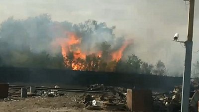 В Варне пожар охватил семь домов