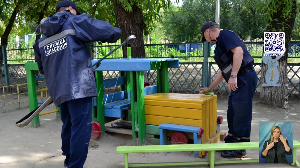 Спасатели изгнали пчел с детской площадки