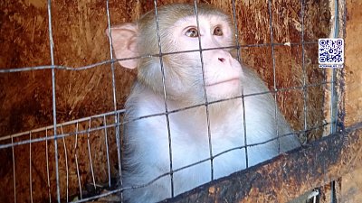 Происшествия недели 03.09.2022