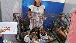 Общественно-политический вернисаж дал старт празднованию Дня города в Челябинске