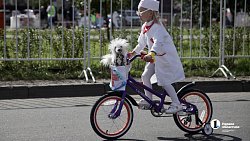 В Челябинске прошел первый областной велопарад