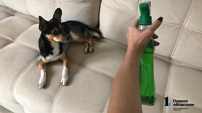 Жители челябинского района пожаловались на работу службы по уничтожению клопов