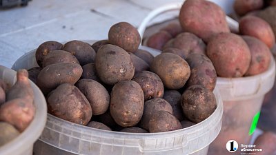 В Челябинской области подорожала свинина и подешевел картофель