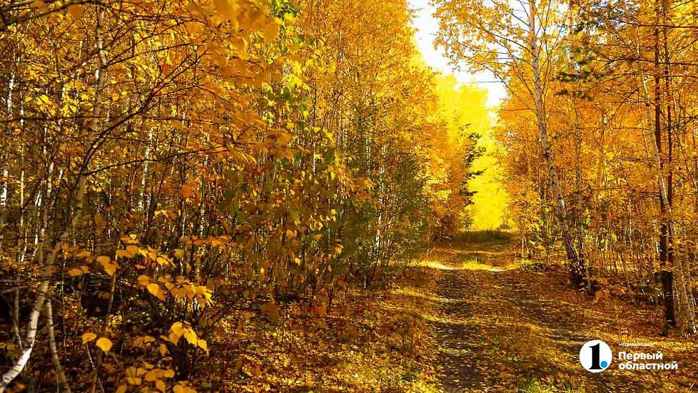 День Тита Листопадника отмечают в народе