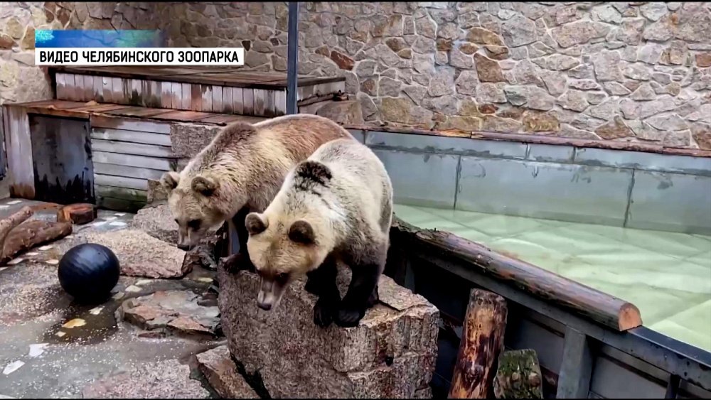 Жители зоопарка рады приходу осени