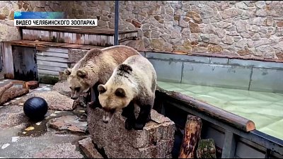 Жители зоопарка рады приходу осени