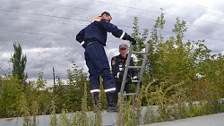 В Челябинске спасатели вытащили щенка из заброшенного коллектора