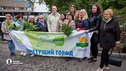 В Челябинске до 15 октября заменят более 600 неприжившихся деревьев