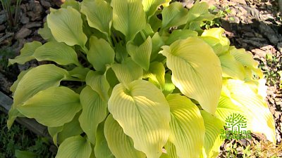 Зеленая передача 08.09.2022