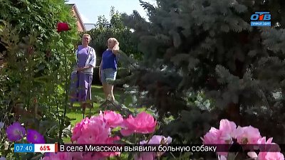 Красота, уют и... мода. Сад Светланы Клименко в рубрике «Пройдёмте в сад»