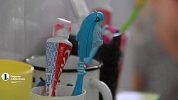 «Зубная фея» научит дошколят Челябинской области правильно чистить зубы