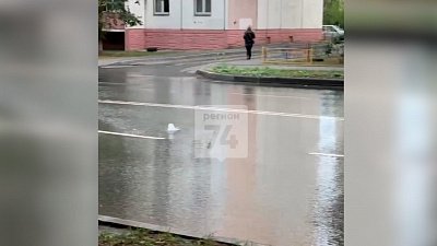 В Челябинске на проезжей части забил коммунальный фонтанчик