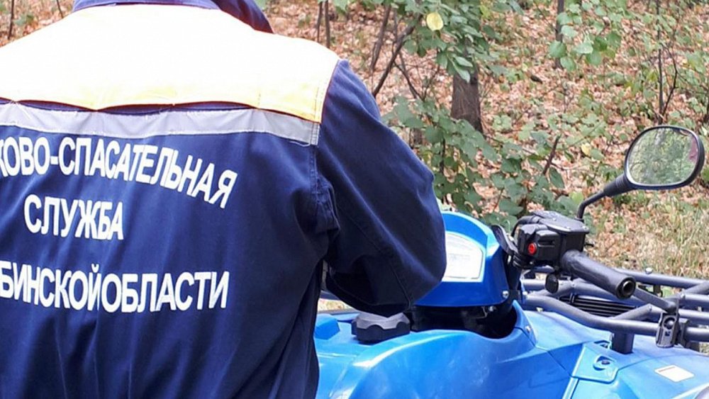 Две девушки отправились за грибами и заблудились в лесу под Миассом