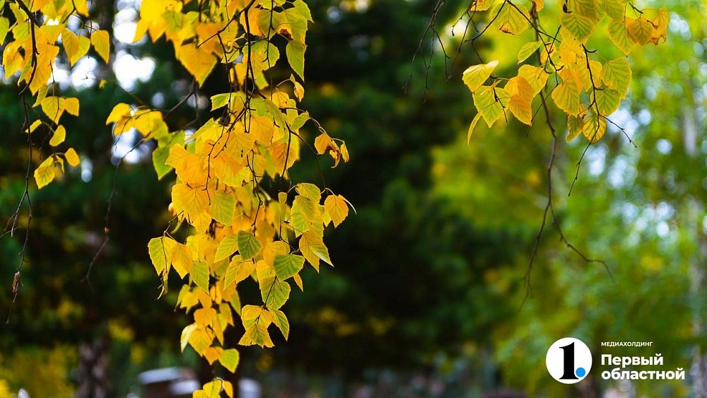 В Челябинской области скупили осенние туры с кешбэком