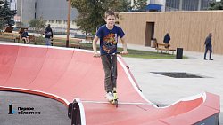 Алексей Текслер после осмотра сквера у ДС «Юность» распорядился усилить контроль за качеством саженцев