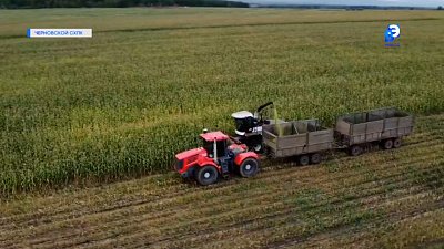 В разгаре уборка кукурузы